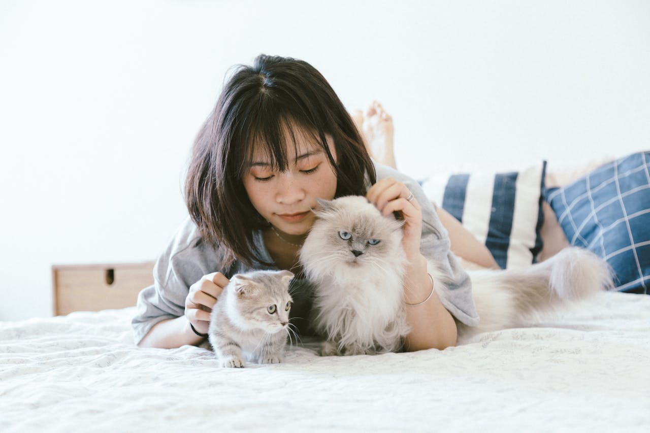 Kim Jest Catsitter? Odkryj mistrzów opieki nad kotami